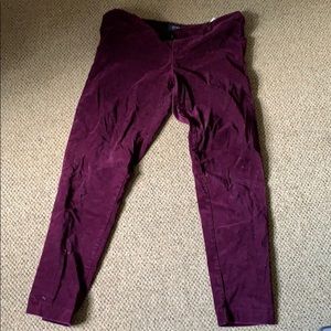 Burgundy velvet pants